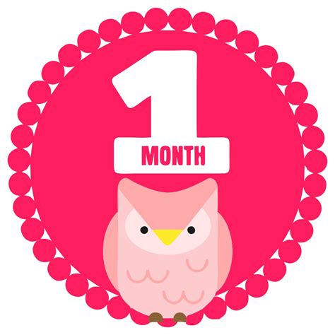 10 Best Free Printable Baby Monthly Signs