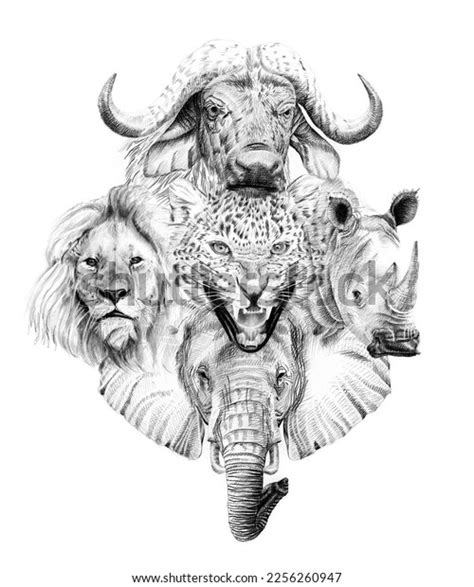 Big African Five Animal Hand Drawn Stock Illustration 2256260947