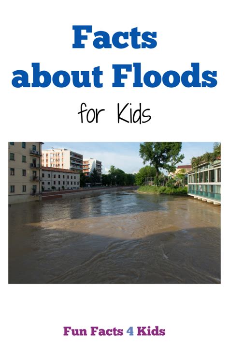 Interesting Facts About Floods For Kids Fun Facts 4 Kids