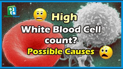 High White Blood Cell Count Possible Causes Youtube