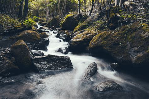 무료 이미지 경치 숲 록 폭포 작은 만 황야 산 강 신비로운 이끼 어두운 야생 환경 흐름 녹색