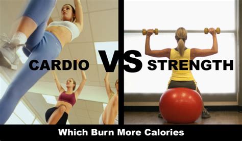 Which Burns More Calories Weights Or Cardiovascular Training