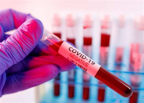 The two main branches detect either the presence of the virus or of antibodies produced in response. 7 Covid-19 Patients Test Negative | Kashmir Observer