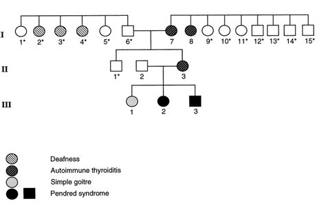 Pedigree Of The Kindred Showing Pendred Syndrome Autoimmune