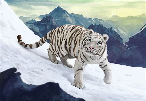 Free Images Tiger Wildlife Cat Like Mammal Big Cats Carnivoran