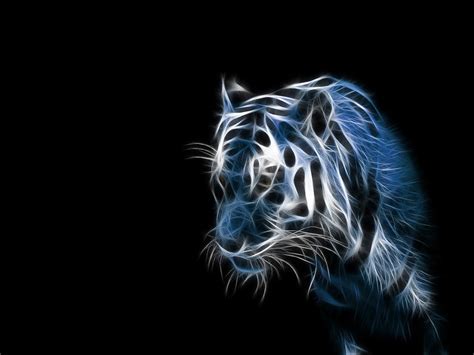 Abstract Tiger By I Am Wildcat On Deviantart