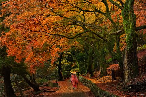 25 Autumn Wallpapers Backgrounds Images Pictures Design Trends
