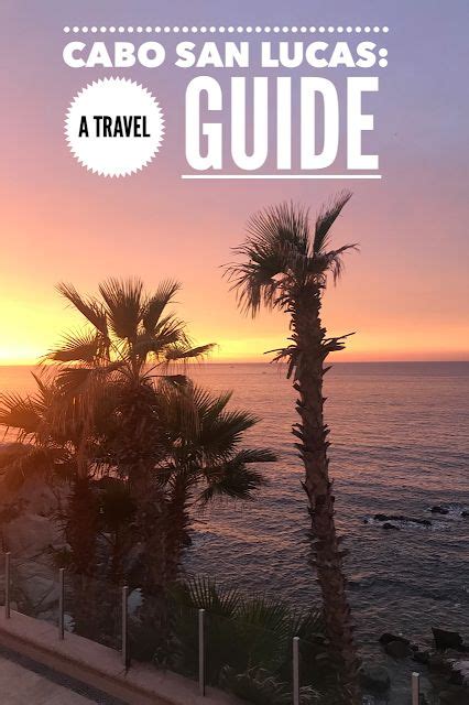 Palm Trees And The Ocean At Sunset In Cabo San Lucas Guide