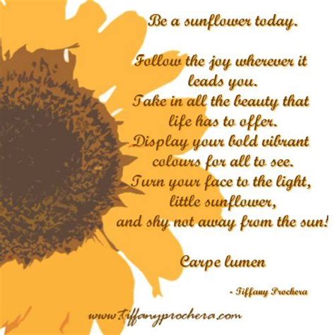 Sunflower Is An Inspirational Poem About Moving Towards Your Joy From