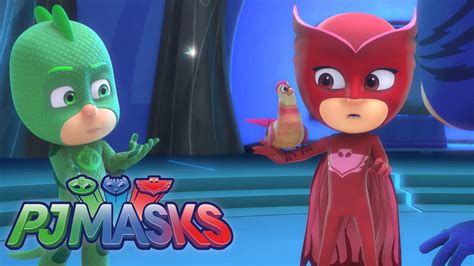 Pj Masks The One With Owlettes Feathered Friend Youtube