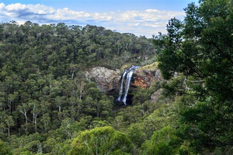 Waterfall Ebor Falls Stock Photos Pictures And Royalty Free Images Istock