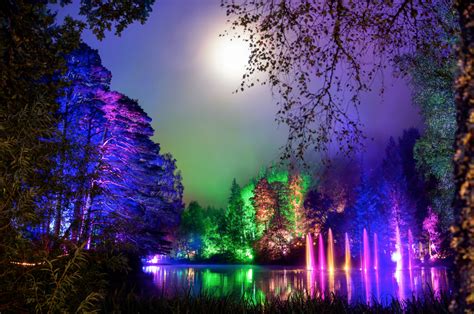 The Enchanted Forest Puts Visitors Under A Spell Magical Forest