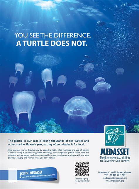 You See The Difference A Turtle Does Not Medasset