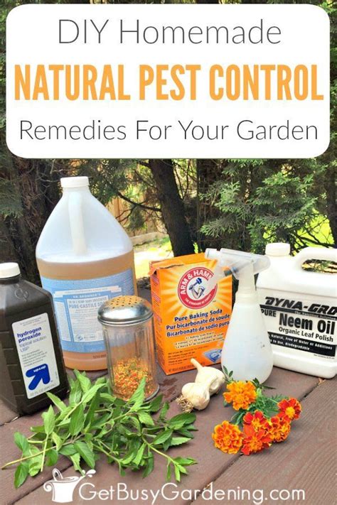 Natural Garden Pest Control Remedies And Recipes Organic Pest