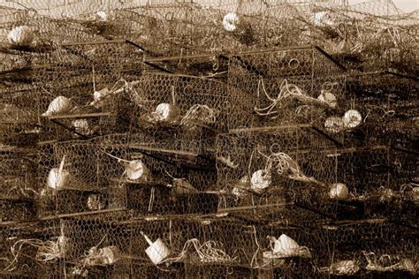 Crab Cages Stock Image Image Of Nylon Fisherman Cage 28248839