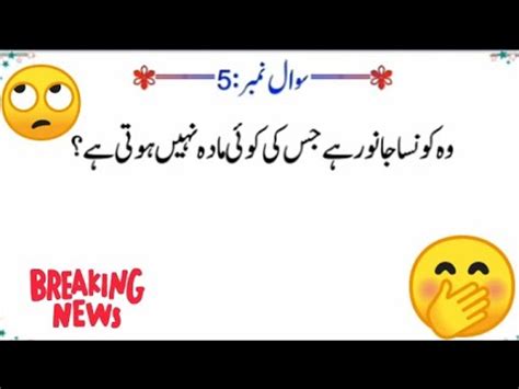 general knowledge questions with answer riddle in urdu facts about animals اردو پہیلیاں YouTube