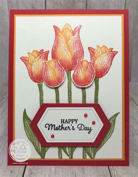 Two Tone Stamping With The Timeless Tulips Tulips Card Mothers Day