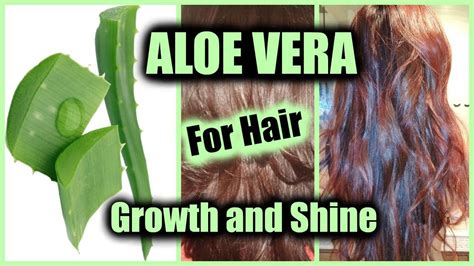 How To Apply Aloe Vera For Hair Growth Natural Shine Stop Hair Loss