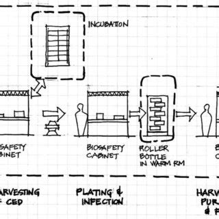 (PDF) Vaccine Scale-up and Manufacturing