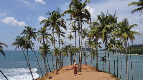 Alle Tips Voor Het Kustplaatsje Mirissa In Sri Lanka Morning Banana