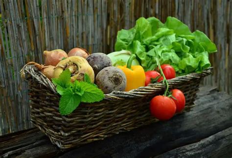 Trucos Para Conservar Frutas Y Verduras En En La Nevera Como Funciona Que