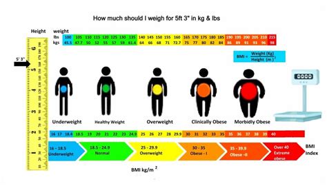 Bmi Calculator That Includes Frame Size Aljism Blog