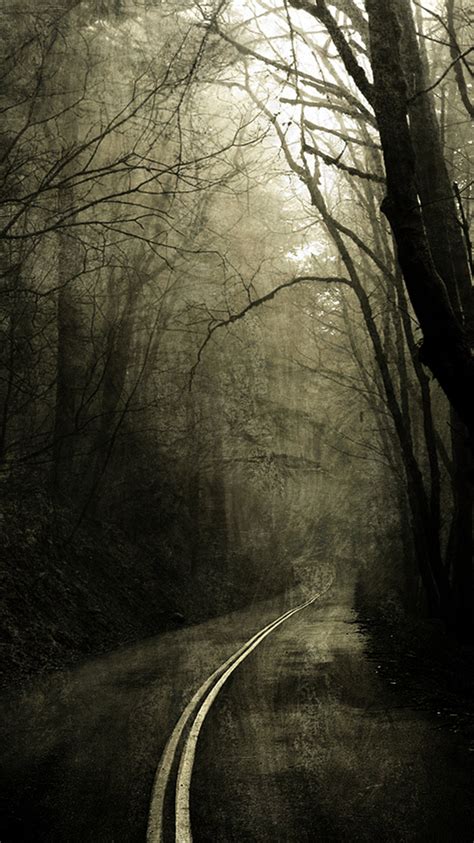 Scary Forest Iphone Wallpaper Hd