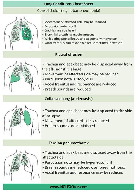 Examination Of Respiratory System Cheat Sheet Nclex Quiz
