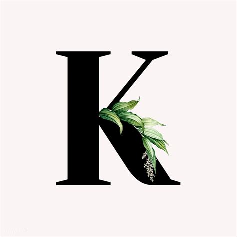 botanical capital letter k illustration premium image by aum kappy kappy