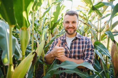 Premium Photo Farmer Checking On Corn Crops
