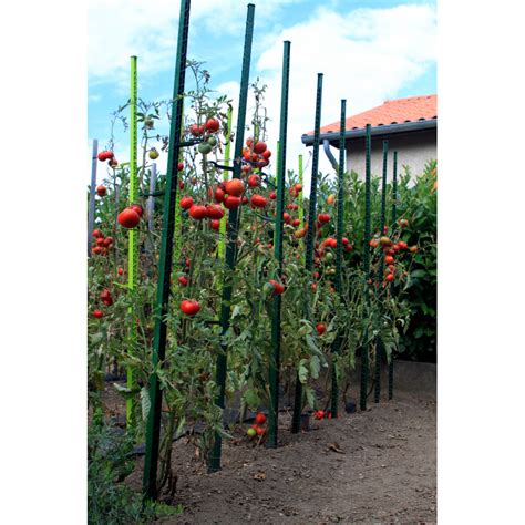 Commandez Notre Tuteur Plastique Tomate 180 M Jardin Et Saisons