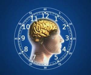 Internal Body Clock Circadian Rhythm Definition Brief