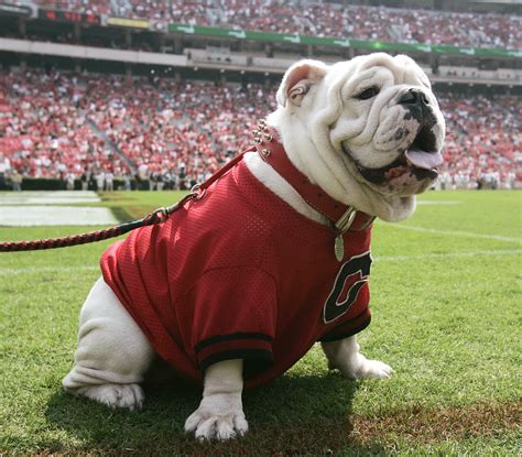 See The Mascots Sports Illustrated Ranked As The Top 10 Greatest Of All