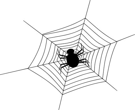 Svg Web Insect Spider Free Svg Image Icon Svg Silh