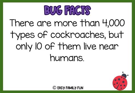 100 Epic Bug Facts For Kids