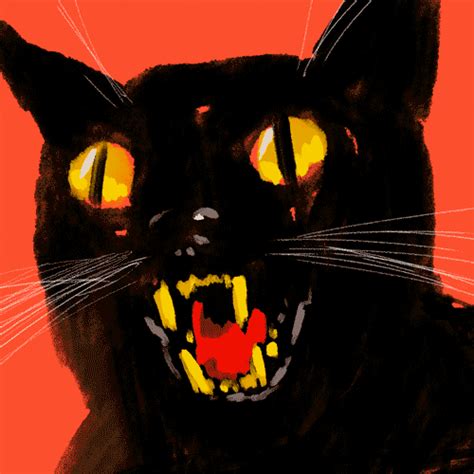 Black Cat Halloween  By Giphy Studios Originals Find And Share On Giphy