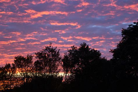 Free Images Tree Sunrise Sunset Dawn Atmosphere Dusk Clouds