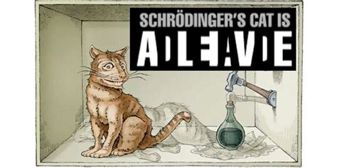 schrodinger cat art