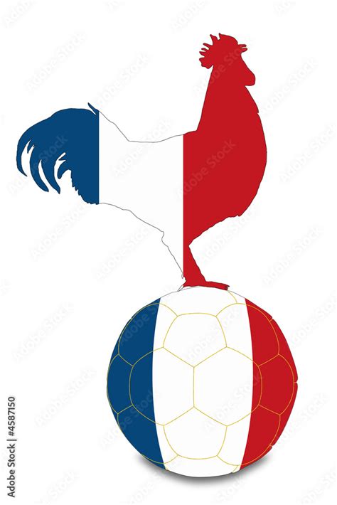 Coq France Football Stock Illustration Adobe Stock