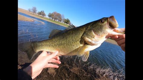 North Texas Bass Fishing In February Youtube