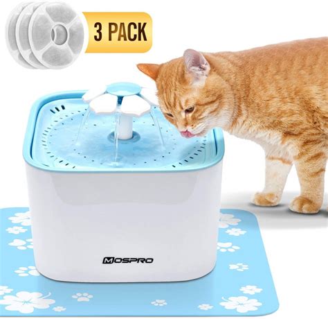 Best Cat Water Fountain Review And Buyers Guide