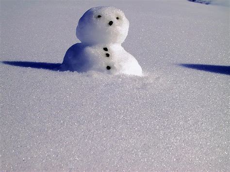 Snow Snowman Winter Snowmen Cold White Wintry Eismann Ice Pikist