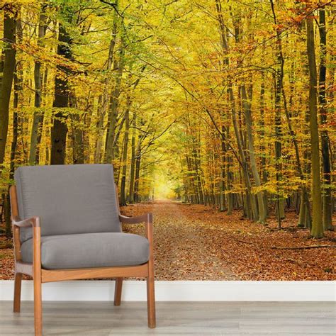 Autumn Pathway Tree Forest Square Wall Murals Woodland Wallpaper