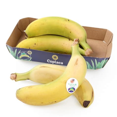 Plátanos Y Bananas Carrefour Supermercado Compra Online