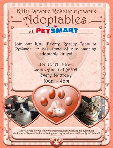 Kitty Rescue Devore Has Cats And Kittens For Adoption Every Saturday