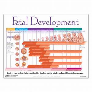 Health Education Products Materials Health Edco Us