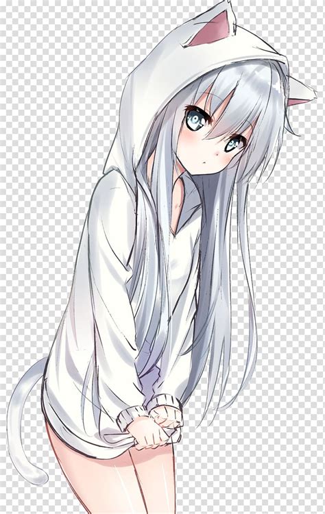 Anime Drawing Catgirl Anime Transparent Background Png Clipart Hiclipart