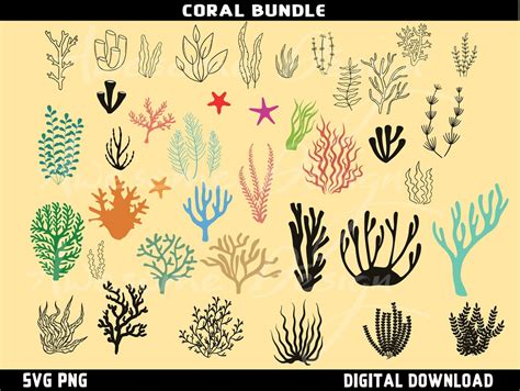 Coral Svg Sea Coral Svg Seaweed Svg Sea Plants Svg Bundle Etsy