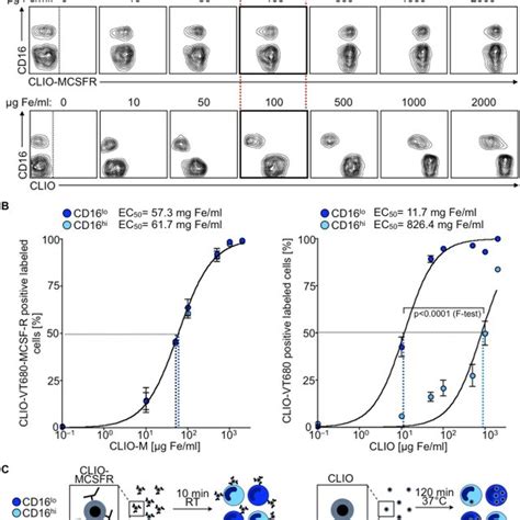 Human Monocyte Subsets Differ Phenotypically And Functionally A Flow