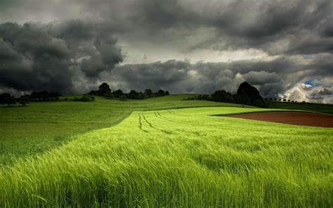 Grass Field Clouds Wallpapers Hd Desktop And Mobile Backgrounds